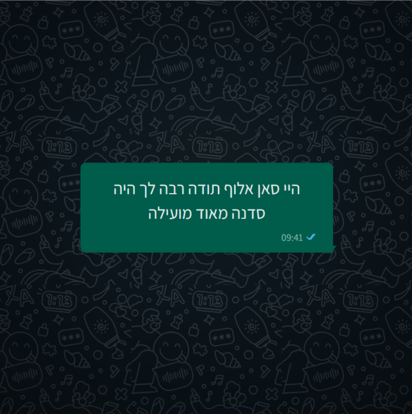 המלצה 2